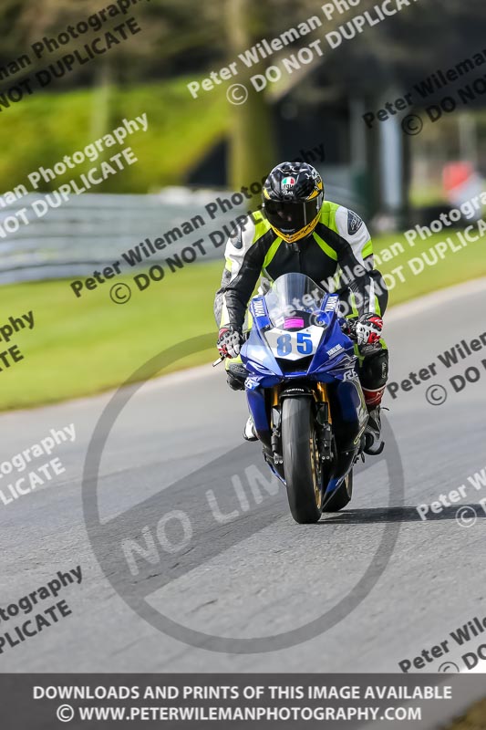 Oulton Park 21st March 2020;PJ Motorsport Photography 2020;anglesey;brands hatch;cadwell park;croft;donington park;enduro digital images;event digital images;eventdigitalimages;mallory;no limits;oulton park;peter wileman photography;racing digital images;silverstone;snetterton;trackday digital images;trackday photos;vmcc banbury run;welsh 2 day enduro